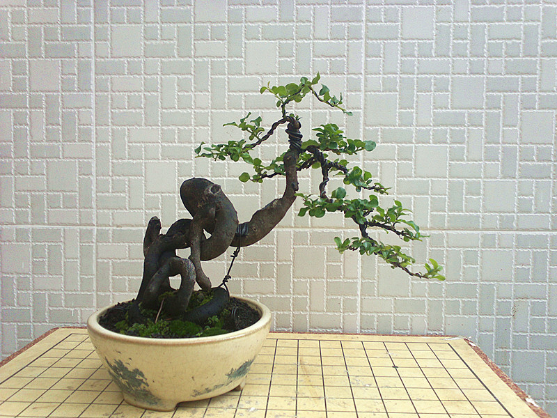 20130527119_.jpg