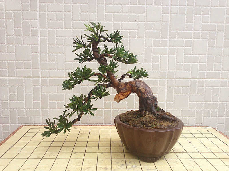 20130527120_.jpg