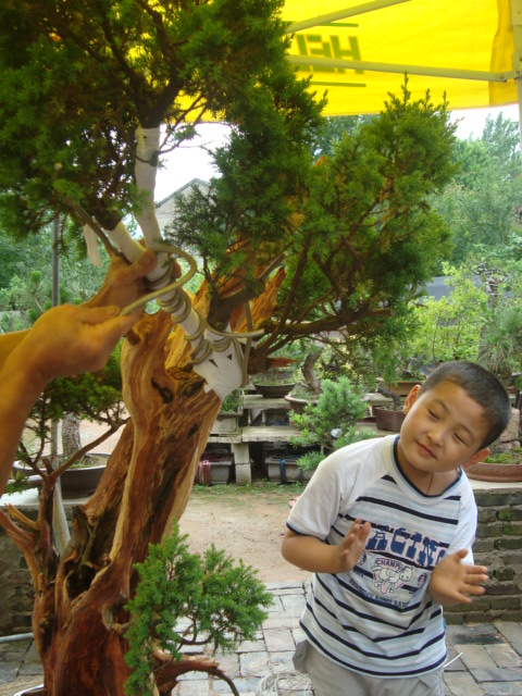 DSC07139.jpg