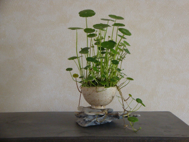DSC03908.JPG