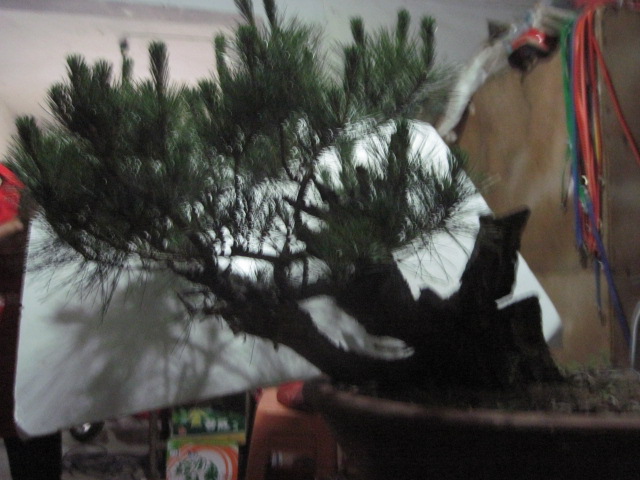 0527 001.jpg