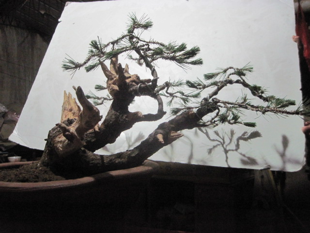 0527 020.jpg