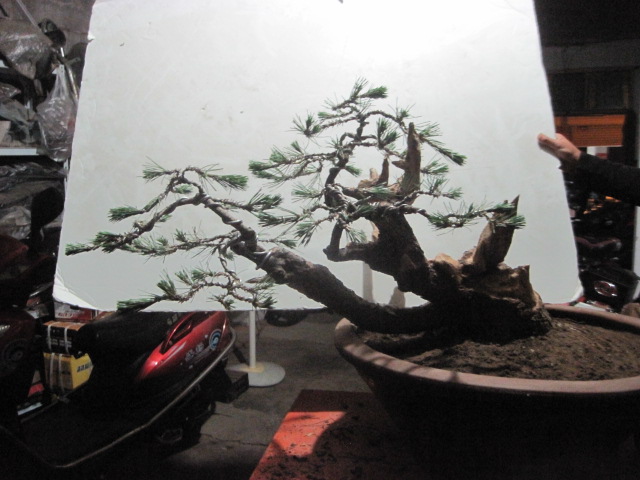 0527 021.jpg
