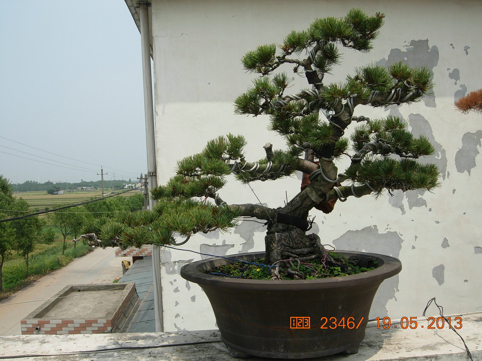 DSCN6892.JPG