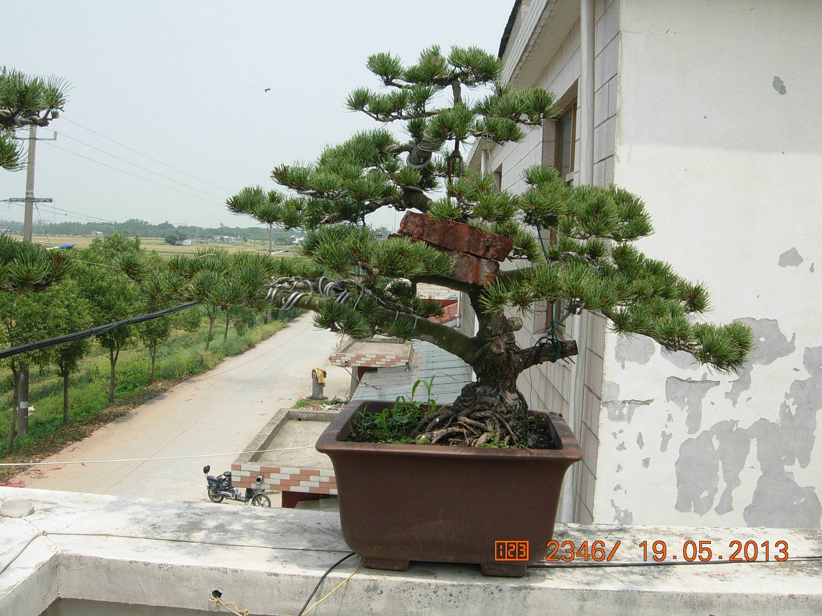 DSCN6893.JPG
