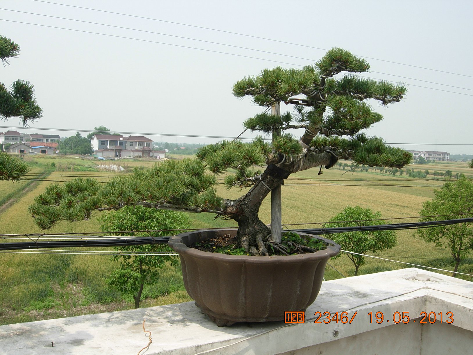DSCN6894.JPG