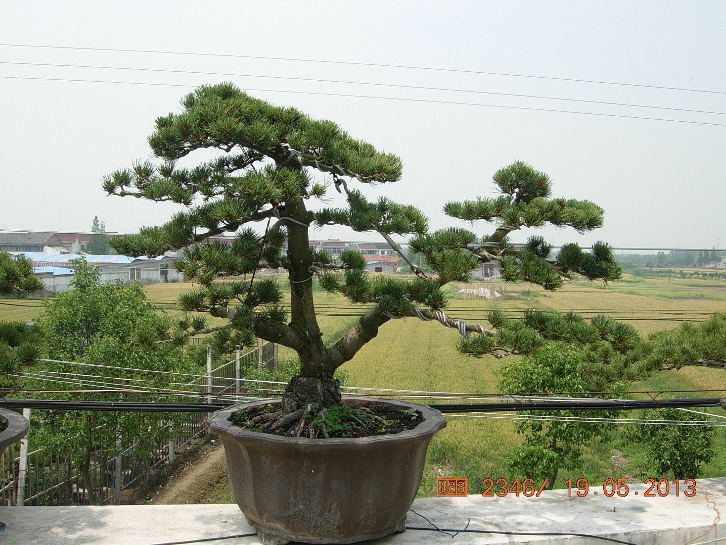 DSCN6895.JPG
