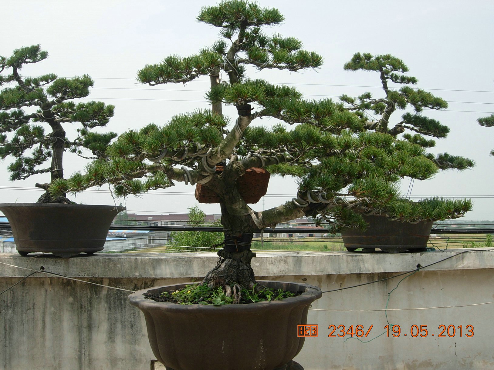 DSCN6897.JPG