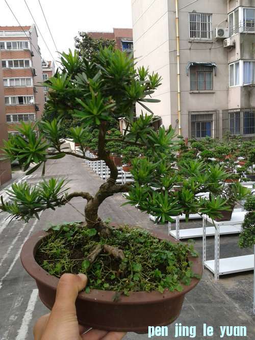 2013-05-28 14.27.46.jpg