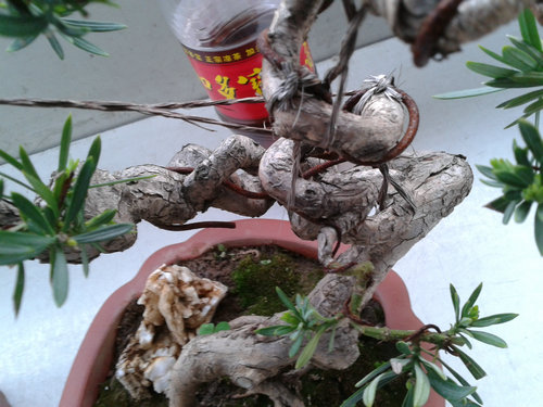 2013-04-17 17.48.41.jpg