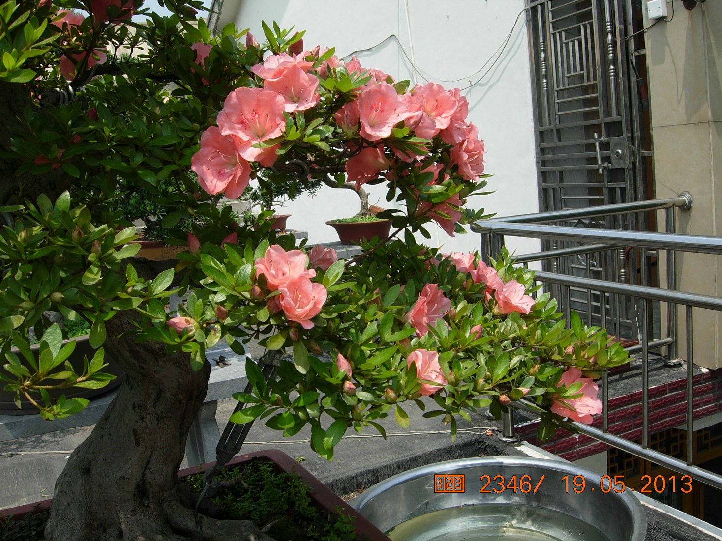 DSCN6888.JPG