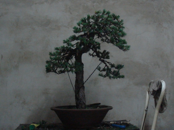 FHX)HN8L8(W0CLPGNG{O292.jpg