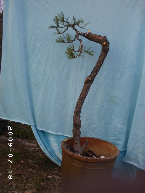 PHOT0127.JPG