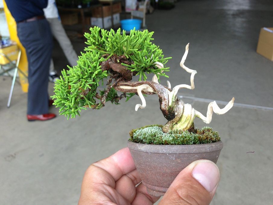 13053001-01.jpg