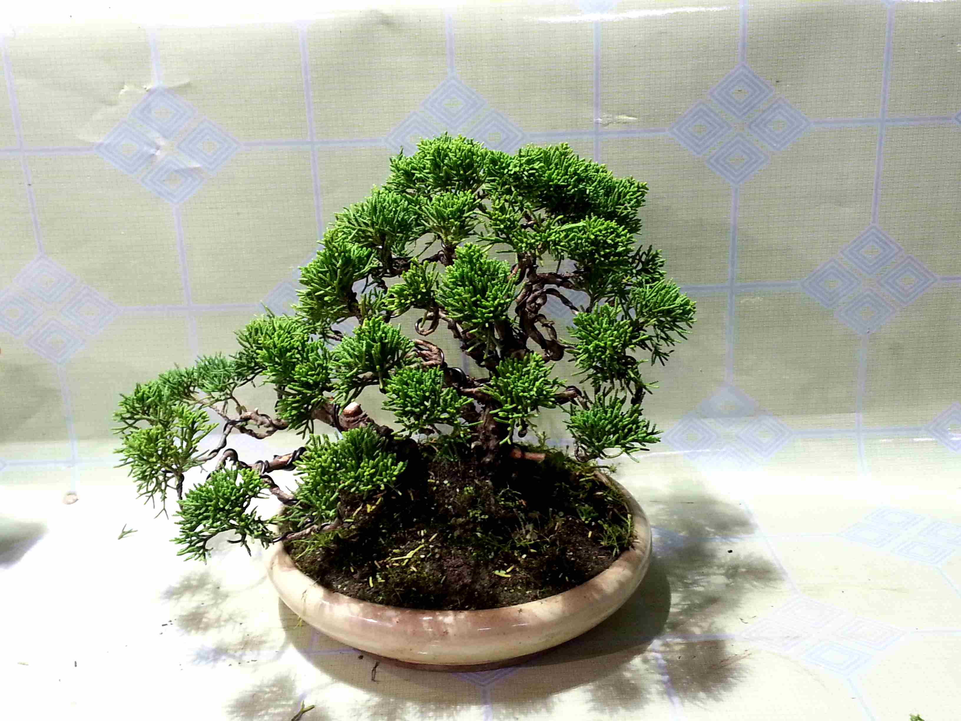 20130526_164834_2.jpg