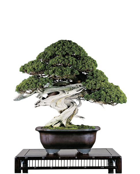 image_1057_kokufu-ten-jp.jpg