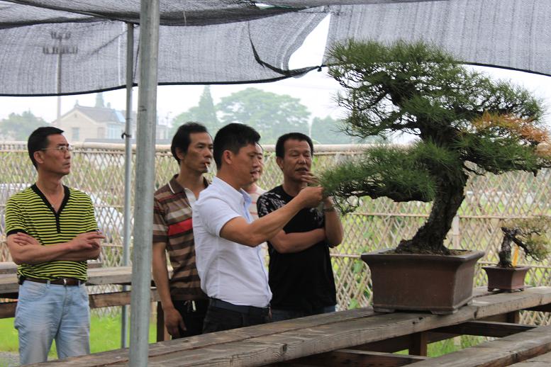 Ƭ 090.jpg