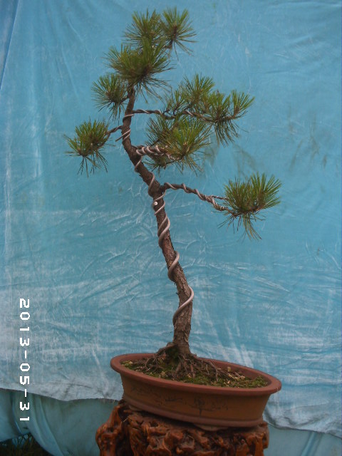 PHOT0053.JPG