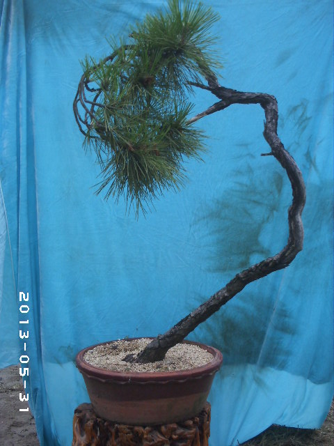 PHOT0054.JPG