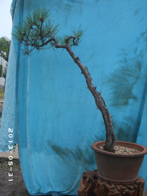 PHOT0055.JPG