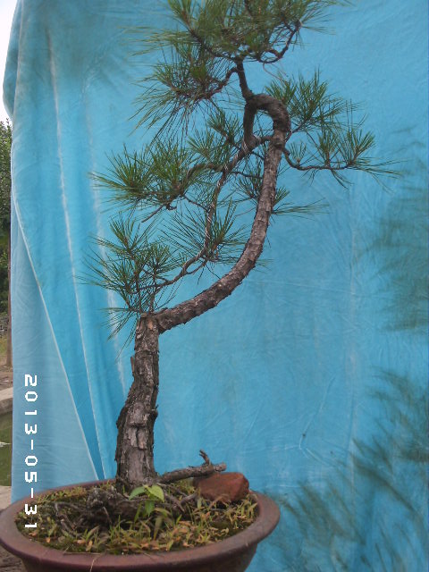PHOT0056.JPG