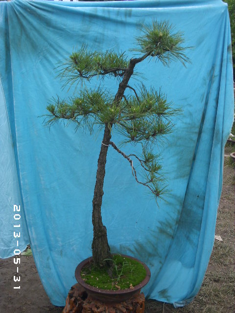 PHOT0058.JPG