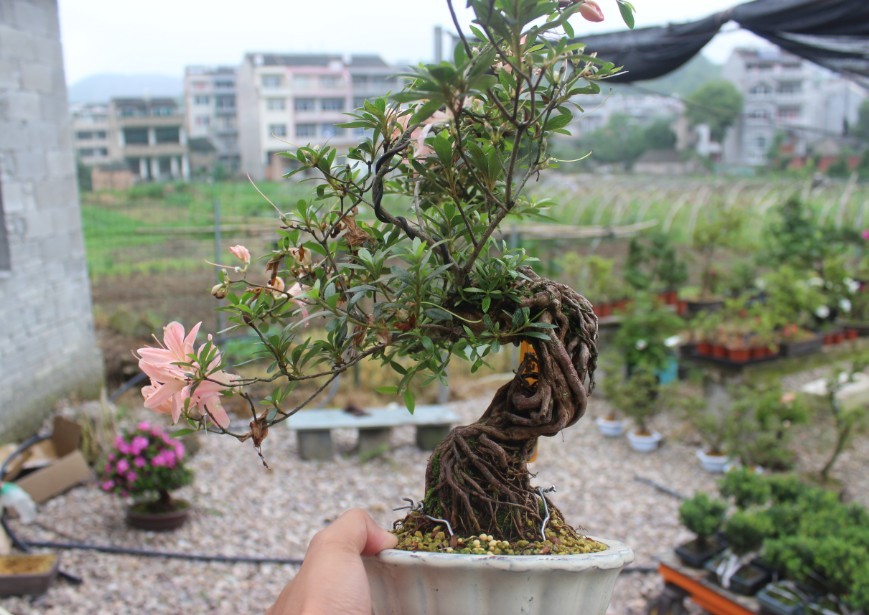 QQͼƬ20130601174712.jpg