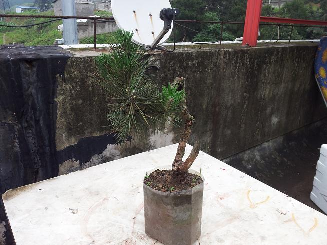 20130601_121733.jpg