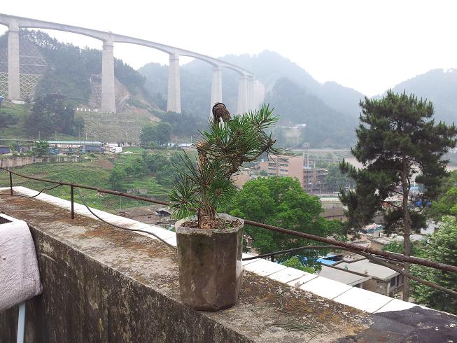 20130601_170115.jpg