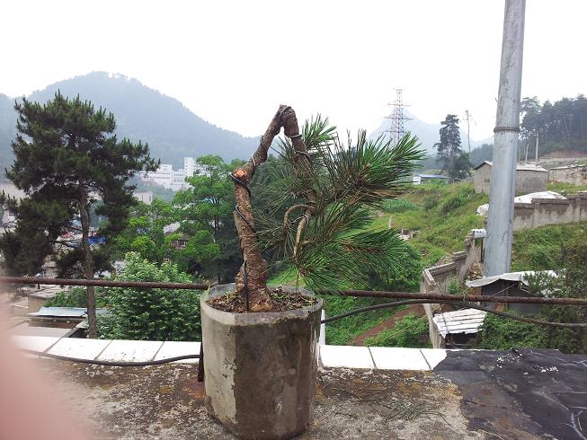 20130601_170129.jpg