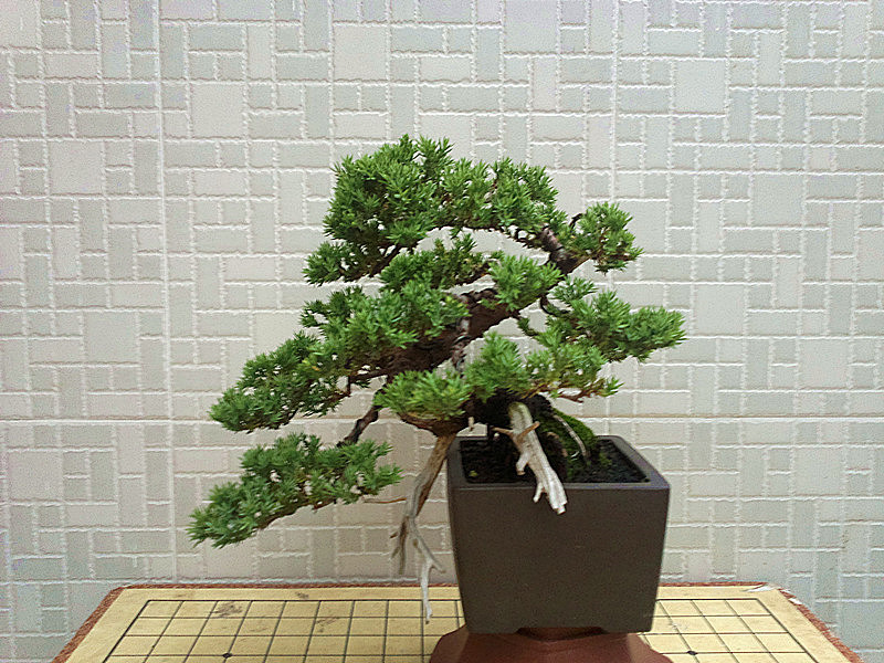 20130602159__.jpg