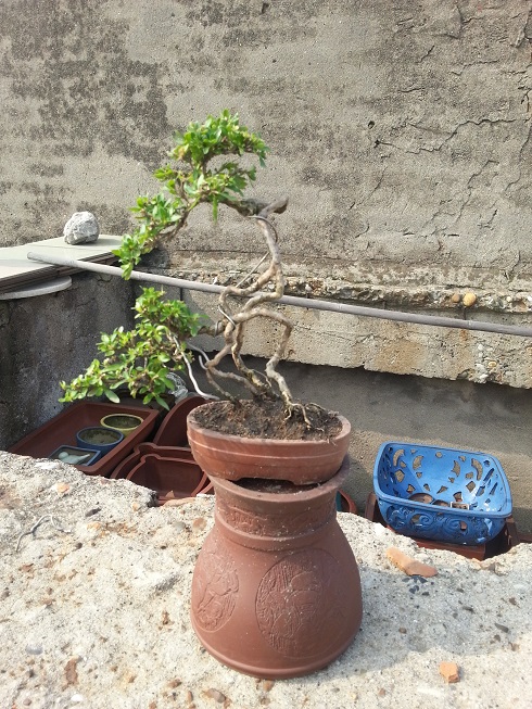 20130601_085803.jpg
