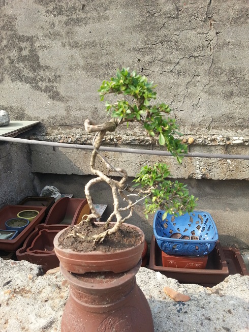 20130601_085815.jpg