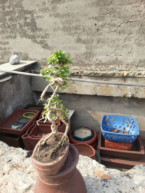 20130601_085822.jpg