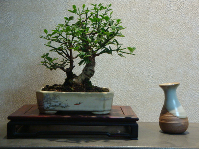 DSC03965.JPG