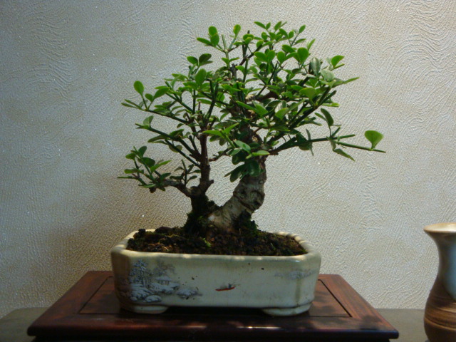 DSC03966.JPG