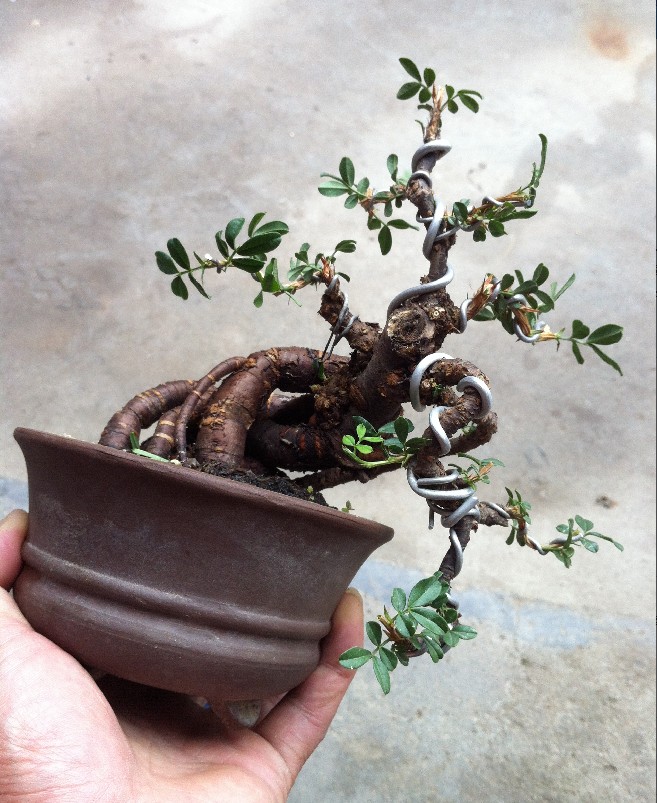 QQͼ20130601222143.jpg