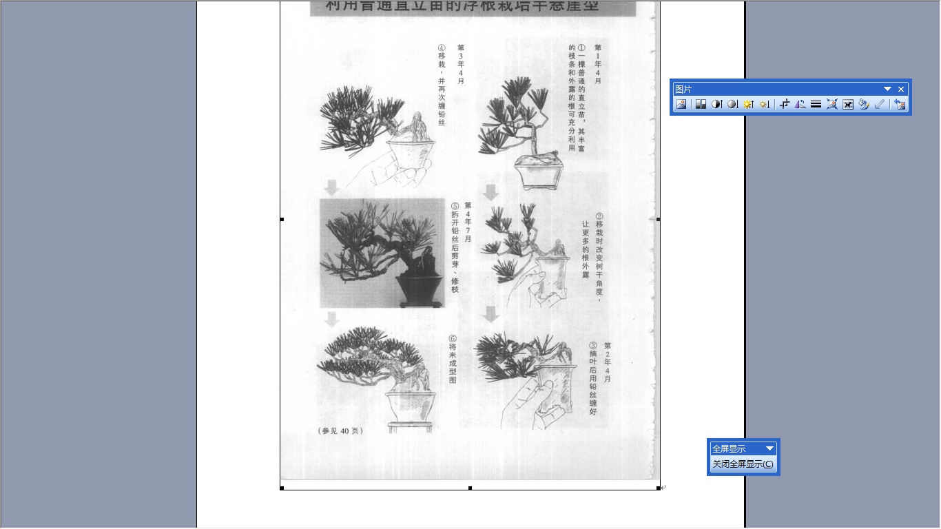 无标题.jpg