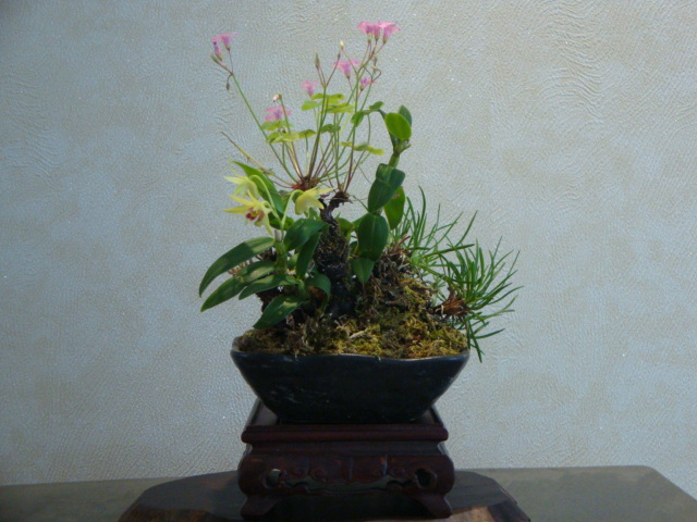DSC04059.JPG
