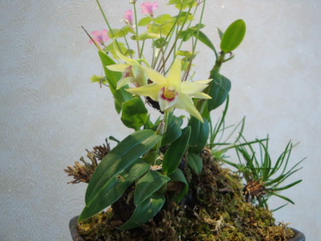 DSC04060.JPG
