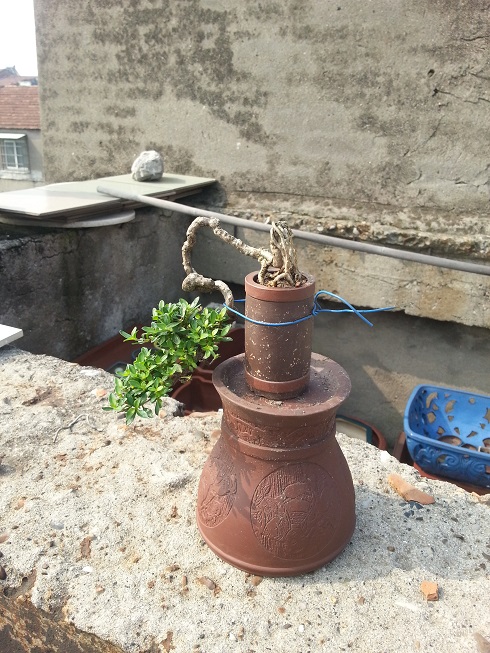 20130601_085932.jpg