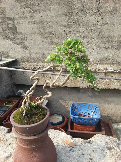 20130601_090002.jpg
