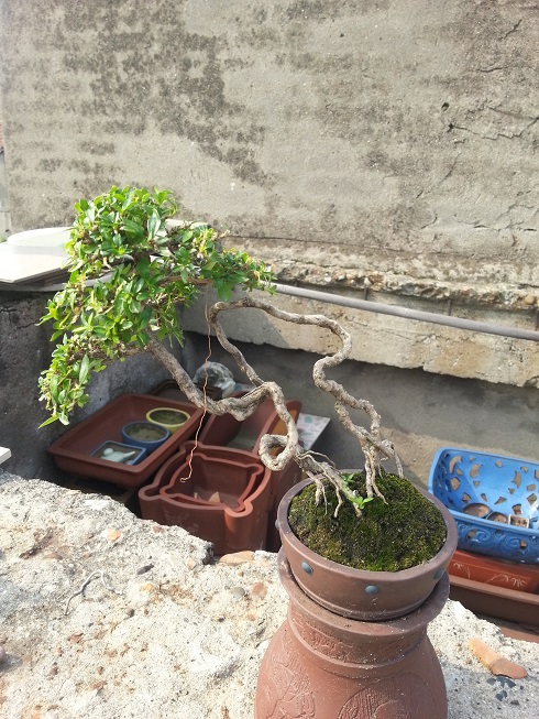 20130601_090011.jpg