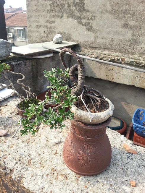 20130601_090038.jpg