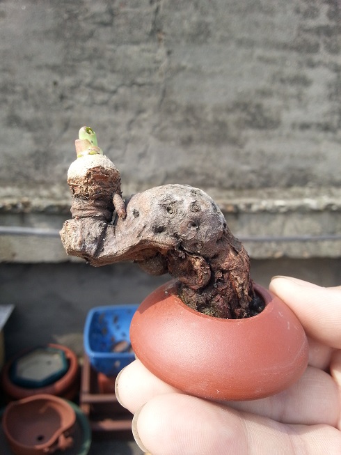 20130601_093643.jpg