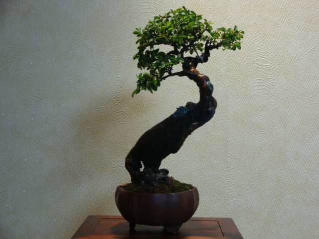 DSC04119.JPG