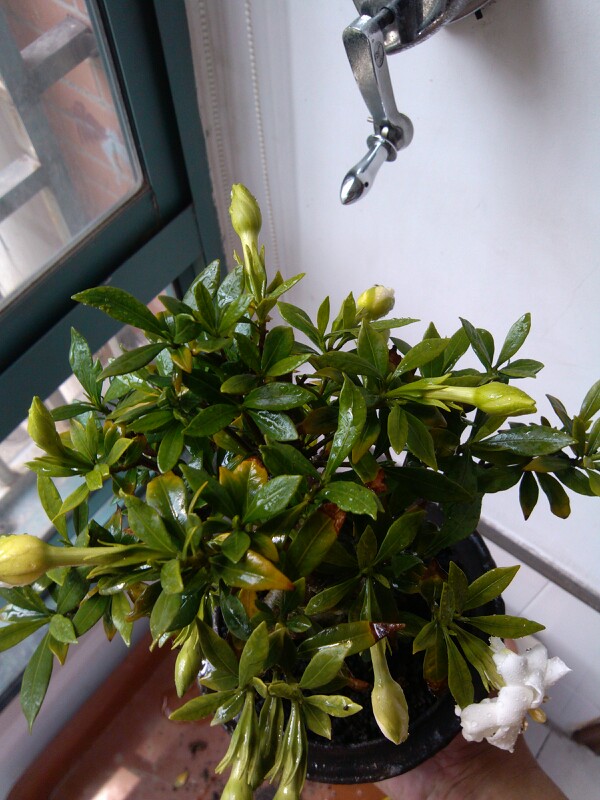 IMG20130606141955.jpg