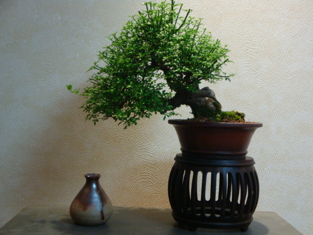 DSC03987.JPG