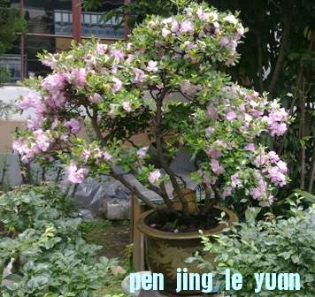 20130605303.jpg