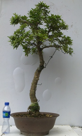 20130601254.jpg
